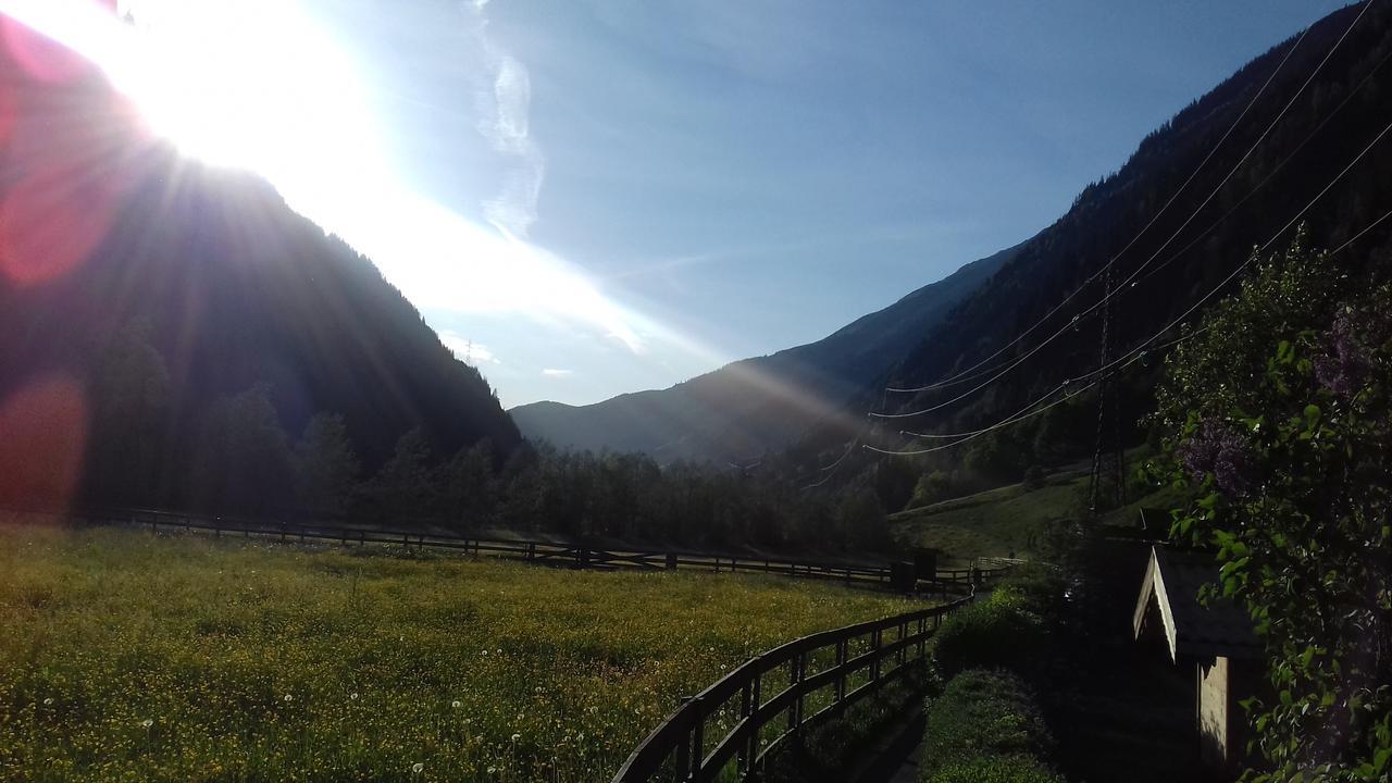 Gasthaus Haeusling Alm Hotell Mayrhofen Eksteriør bilde